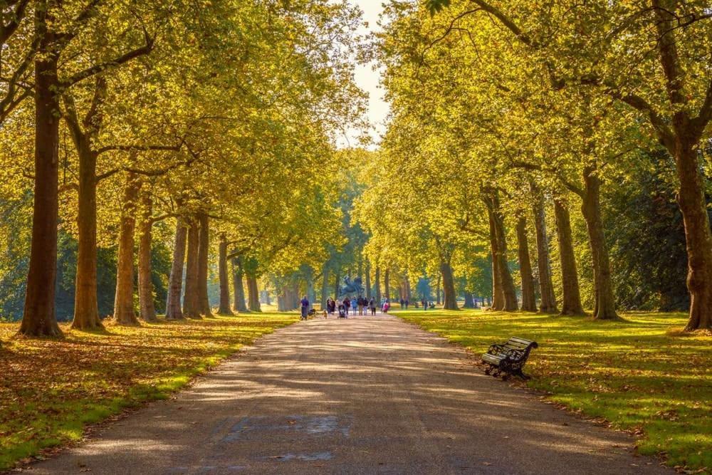 Art Deco Oasis: Hyde Park Adjacent London